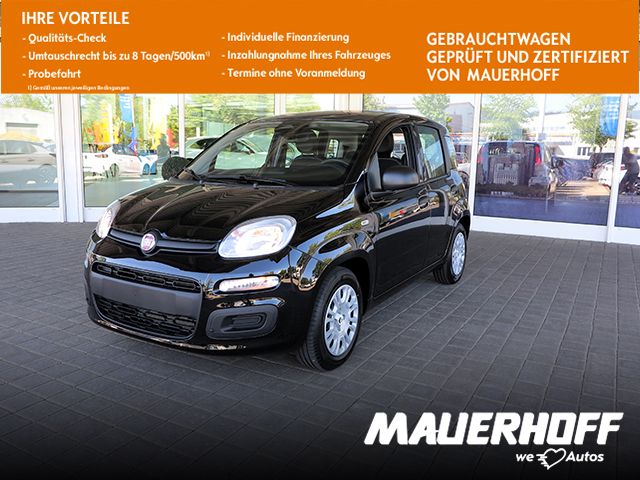 Fiat Panda Mild-Hybrid Pandina Pop | Klima | PDC |